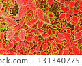 Clean leaves 131340775