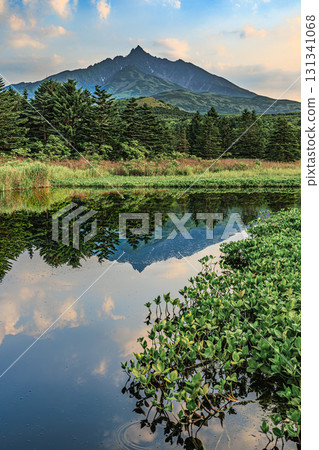 Rishiri Fuji reflected in the water and the summer marsh landscape 131341068
