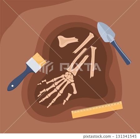 Human hand bones. Archaeological find. Historical value. Image for books, articles, posters, archeology, history of past, excavations presentations. Vector 131341545