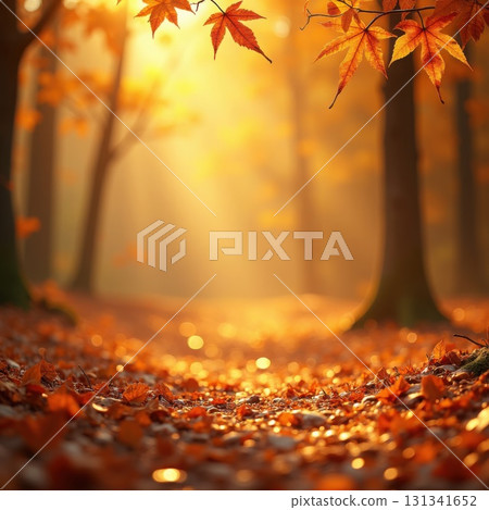 Autumn Forest Path Covered In Fallen Leaves With Golden Sunlight image photo 131341652