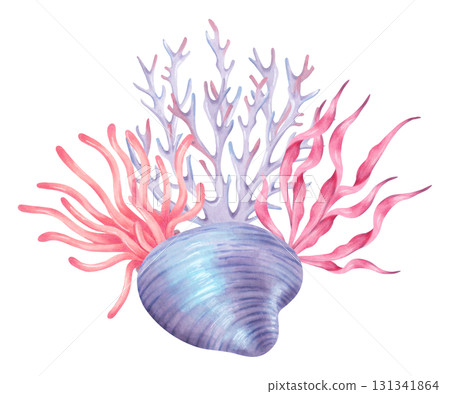 A composition of a shell with coral and sea waves. Coral reef with underwater animals. Watercolor illustration. Hand-drawn isolated art. For nautical themes, tropical designs, and summer projects. A composition of a shell with coral and sea waves. Coral reef with underwater animals. Watercolor illustration. Hand-drawn isolated art. For nautical themes, tropical designs, and summer projects. 131341864