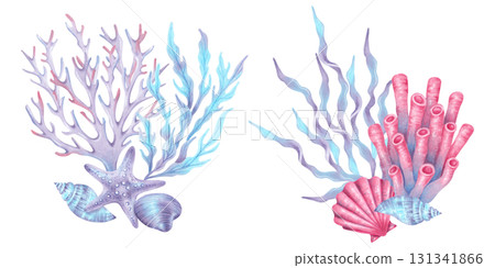 Composition with sea corals, a starfish, shells and seaweed. Watercolor illustration of blue and pink underwater animals. Hand drawn isolated art. Coral reef underwater for children's design, guide. Composition with sea corals, a starfish, shells and seaweed. Watercolor illustration of blue and pink underwater animals. Hand drawn isolated art. Coral reef underwater for children's design, guide. 131341866