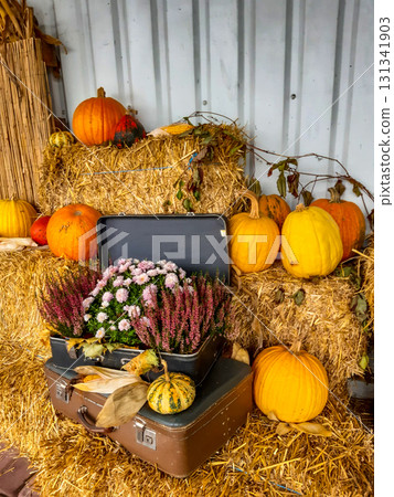 Autumn composition with ripe pumpkins and flowers in vintage suitcase on straw. Autumn harvest concept Autumn composition with ripe pumpkins and flowers in vintage suitcase on straw. Autumn harvest concept 131341903