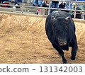 Uruma City Bullfighting 131342003