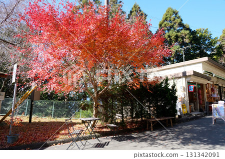 Shinshiro City, Aichi Prefecture_Mount Horaiji Parkway Parking Lot 3_December 2024 Shinshiro City, Aichi Prefecture_Mount Horaiji Parkway Parking Lot 3_December 2024 131342091