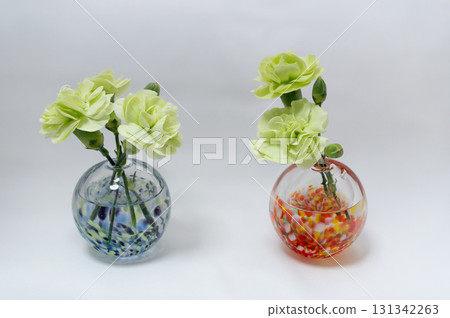 白色背景下，暖色和冷色花瓶中的綠色康乃馨花和花蕾 131342263