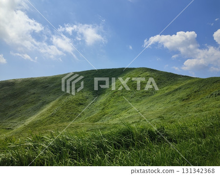 Grassland of Mt. Omuroyama 131342368
