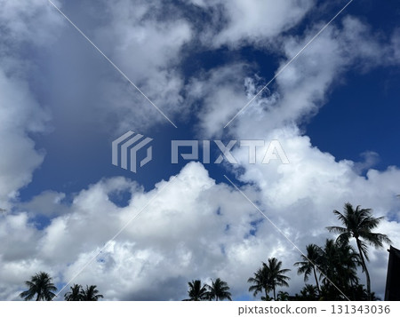 關島的藍天、白雲和棕櫚樹 131343036