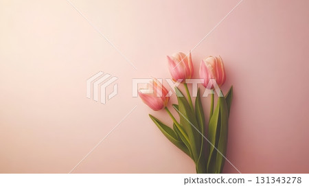 Three elegant pink tulips rest on a soft pastel pink background, creating a serene and romantic atmosphere perfect for valentine's day, women's day, or springtime celebrations Three elegant pink tulips rest on a soft pastel pink background, creating a serene and romantic atmosphere perfect for valentine's day, women's day, or springtime celebrations 131343278