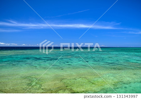 廣闊的藍天和翠綠的海 131343997