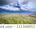 Okinawa's sea with outstanding transparency 131344051