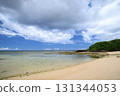 Emerald green sea and white sand beach 131344053