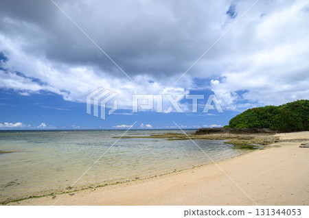 Emerald green sea and white sand beach 131344053
