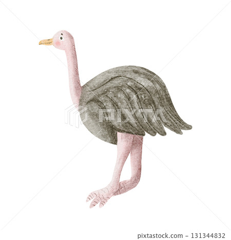 Simple ostrich kids drawing illustration isolated on white. African savannah bird clip art in childish style for nursery and baby room designs. Safari fauna sketch in gray and pastel pink colors Simple ostrich kids drawing illustration isolated on white. African savannah bird clip art in childish style for nursery and baby room designs. Safari fauna sketch in gray and pastel pink colors 131344832