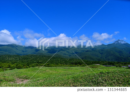 從知床五湖高架步道眺望羅臼岳和知床連峰 131344885