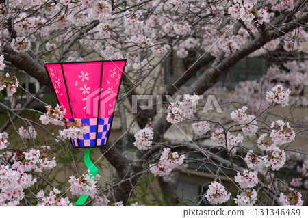 信貴山朝護孫子寺櫻花燈籠 131346489