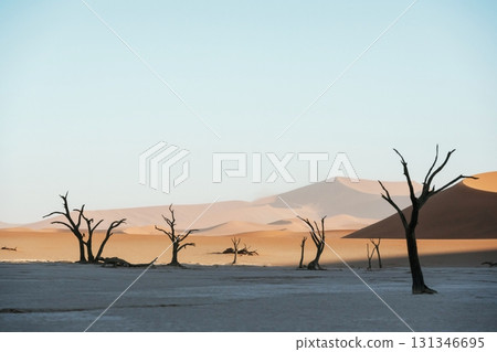 Sossusvlei, Famous sand dunes and dead trees in Deadvlei Sossusvlei, Famous sand dunes and dead trees in Deadvlei 131346695