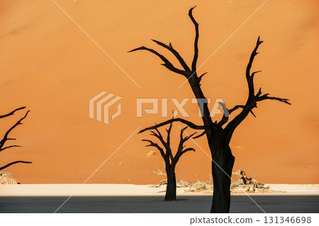 Sossusvlei, Famous sand dunes and dead trees in Deadvlei 131346698
