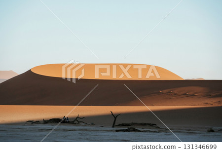 Sossusvlei, Famous sand dunes and dead trees in Deadvlei 131346699
