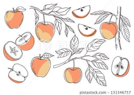 Set of hand drawn apples. Apple fruit outline set. Collection of apple sketches with colors. Illustration. Set of hand drawn apples. Apple fruit outline set. Collection of apple sketches with colors. Illustration. 131346757