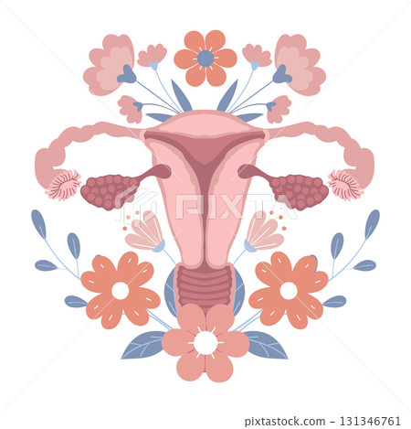 Female reproductive system with floral elements. Uterus illustration with flowers. Illustration. 131346761
