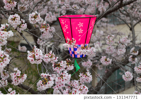 Cherry Blossom Festival Lanterns at Chogosonshiji Temple, Mount Shigi 131347771