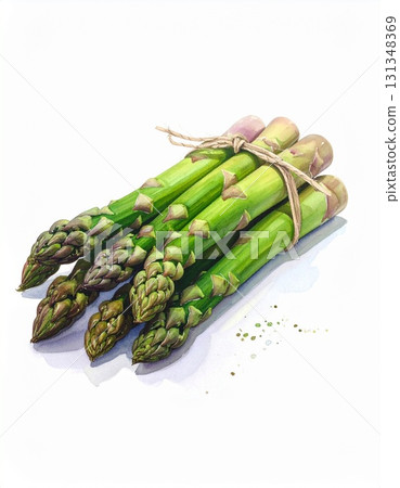 白色背景中的蘆筍 131348369