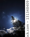 藍天、白雲、竹子 131348409