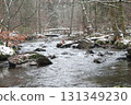 in the forest 131349230