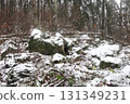 in the forest 131349231