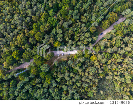 Aerial view of forest with intersecting dirt roads forming an X, five parked vehicles, and mixed green yellow foliage capturing seasonal change and human presence in nature. Aerial view of forest with intersecting dirt roads forming an X, five parked vehicles, and mixed green yellow foliage capturing seasonal change and human presence in nature. 131349626