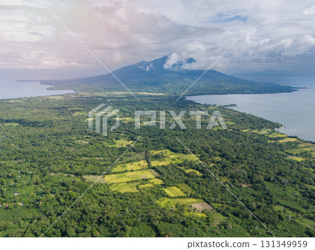 Green landscape of Ometepe island 131349959