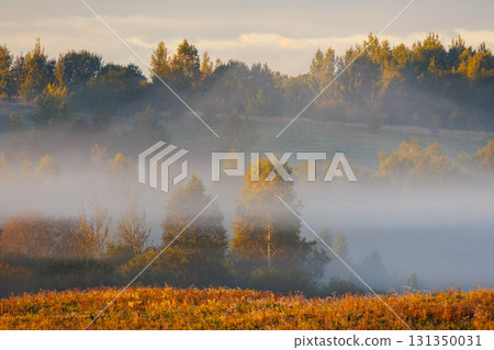 Experience a Serene Misty Morning in the Vibrant Autumn Landscape, filled with beauty Experience a Serene Misty Morning in the Vibrant Autumn Landscape, filled with beauty 131350031