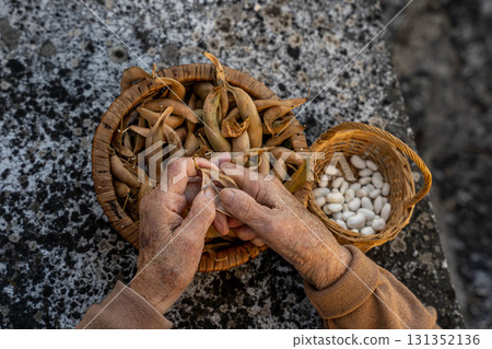 Refreshing orange cocktail with pitcher and fresh fruit Refreshing orange cocktail with pitcher and fresh fruit 131352136