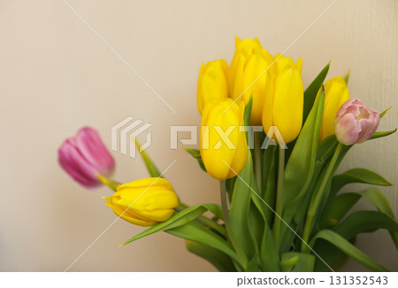 Bright yellow tulip bouquet in soft daylight. 131352543