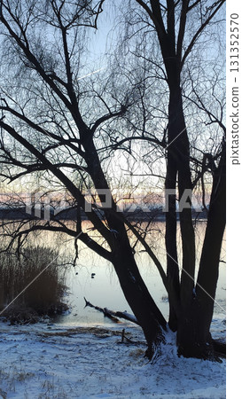 Calm river flowing through frosty winter landscape. 131352570