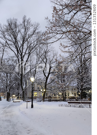 Scenic city park view with snowy trees in winter. Scenic city park view with snowy trees in winter. 131352609