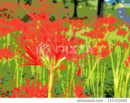公園裡的一簇紅花石蒜(afr20250921074643) 公園裡的一簇紅花石蒜(afr20250921074643) 131352668