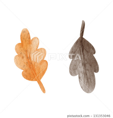 Watercolor oak leaves orange and brown. Hand drawn illustration isolated on a background. For autumn designs. Watercolor oak leaves orange and brown. Hand drawn illustration isolated on a background. For autumn designs. 131353046