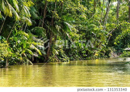 River boat tour on the Guama River at Belem do Para, a city on the north area of Brazil. 131353340