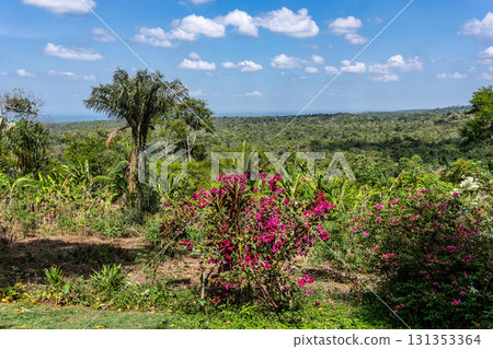 Vila Americana in Belterra, Para in Brazil. American village built by Henry Ford Vila Americana in Belterra, Para in Brazil. American village built by Henry Ford 131353364