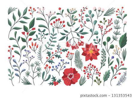 Collection of flower buds, plants twig with leaves and berries decorative elements for Christmas 131353543