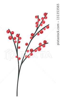 Rowan berries Christmas festive element 131353565