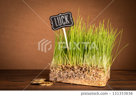 Fresh Green Grass with Luck Sign and Gold Coins Symbolizing Prosperity and Growth 131353636