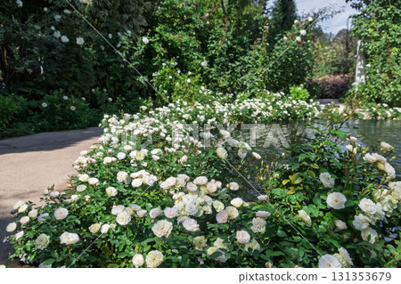 Nakanojo Gardens Rose Garden Area 131353679