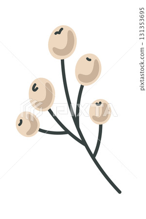 White berries bunch decorative element White berries bunch decorative element 131353695
