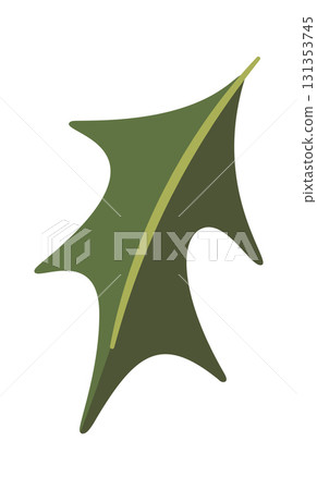 Mistletoe plant leaf Christmas element 131353745