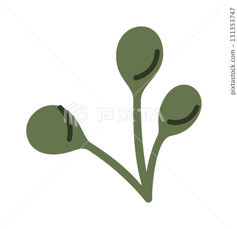 Green berries bunch decorative element Green berries bunch decorative element 131353747