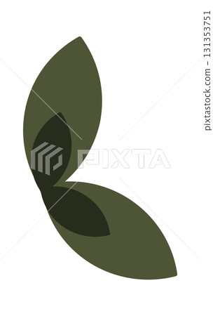 Green leaves botanical Christmas element 131353751