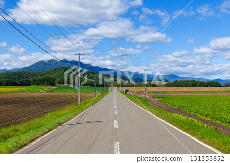 Blue sky and one road Blue sky and one road 131353852